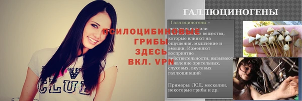 МДПВ Богородск