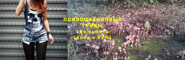 МДПВ Богородск