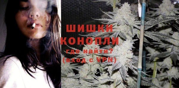 МДПВ Богородск