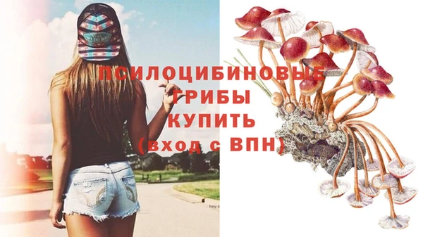 герыч Богданович