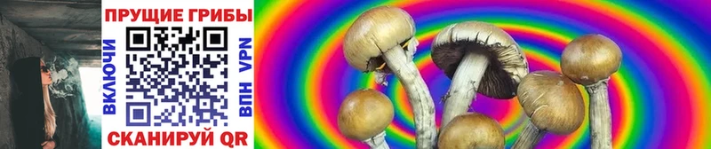 мега ссылки  Жуковский  Псилоцибиновые грибы MAGIC MUSHROOMS 